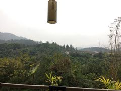 -雅安楠水阁温泉酒店