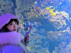 -哈尔滨波塞冬海底世界