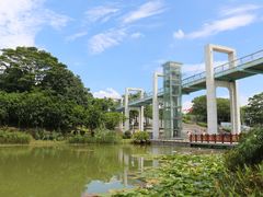-东莞植物园