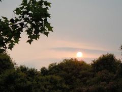 -荔香公园