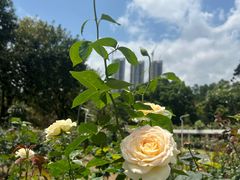 -人民公园(罗湖区)