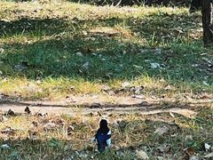 -森林公园(尖草坪区)