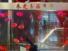 -朱光玉火锅馆(正弘城店)