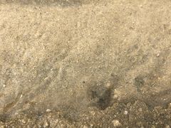 -北海金海湾红树林生态旅游区