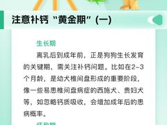 -瑞派申生动物医院·24H夜诊·国际动物医疗中心·骨外科(吴中路店)