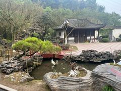 -重庆园博园