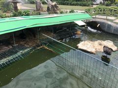 -八景休閒山莊  廣東十大名山莊