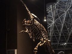 -世界恐龙谷景区