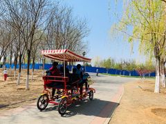 -永定河休闲森林公园