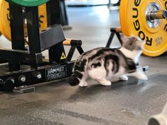 -X·18轻健身工作室(中联皇冠店)