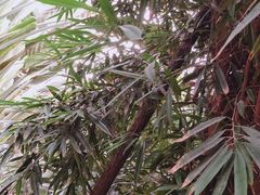 -龙达温泉生态城