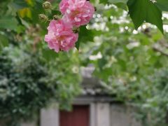 -丝绸小镇荻港古村