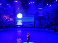 -芜湖新华联大白鲸海洋公园