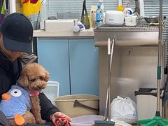 -瑞派·关忠动物医院·猫专科·犬专科(三环新城店)