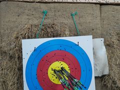 -道顺射箭·团建·骑射(张杨路店)