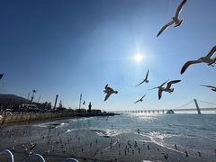 -星海广场