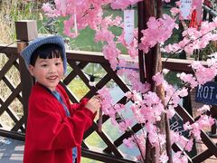 -金鸡湖桃花岛