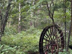 -五营红松林海景区