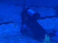 -烟台海昌鲸鲨海洋公园