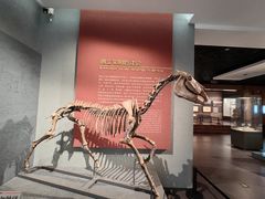 -齐齐哈尔市博物馆