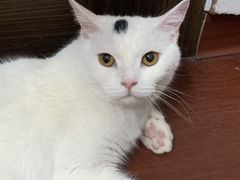 -可莎蜜儿(朝晖店)