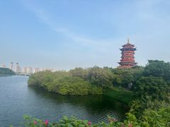 -厦门园林博览苑