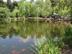 -西湖外事游船(花港观鱼码头)