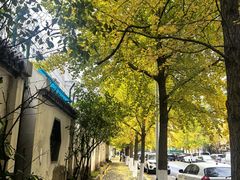 -长白岛森林公园