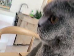 -平行世界·猫咖(首经贸店)