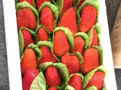 -东方鼎信农副产品交易中心