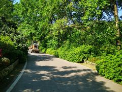 -木兰云雾山