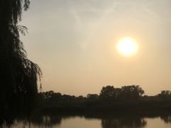 -大兴滨河森林公园