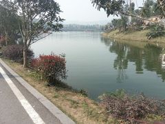 -枫香湖儿童公园