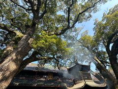 -阿育王寺