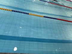 -FLARE STAR FITNESS(复地活力城店)
