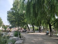 -济南国际园博园