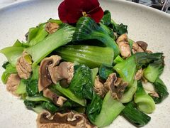 蘑菇炒白菜-丝路有约·优雅新疆菜(万宴城店)