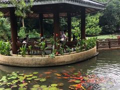 -呀诺达热带雨林