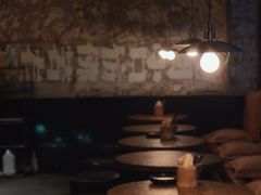 -毛辣果·酸
