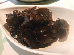野生木耳-疆牛出栏·潮汕牛肉火锅(德汇万达店)