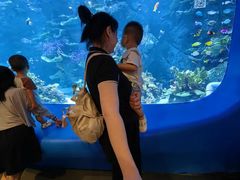 -欢乐海岸海洋奇梦馆
