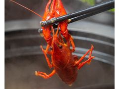 十三香小龙虾-蛙太牛牛肉海鲜自助火锅(台江万达店)