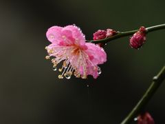 -静安雕塑公园