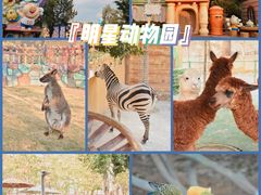 -广州融创文旅城