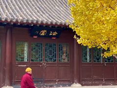 -护国法轮寺