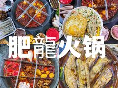 -肥龙火锅(南坪店)