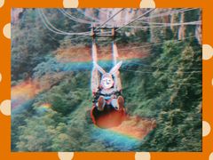 -梦幻奥陶纪景区