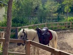 -水上乐园·欢乐世界