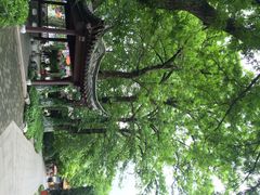 iphone_upload_pic-焦山风景区