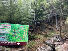 -藏龙百瀑风景区